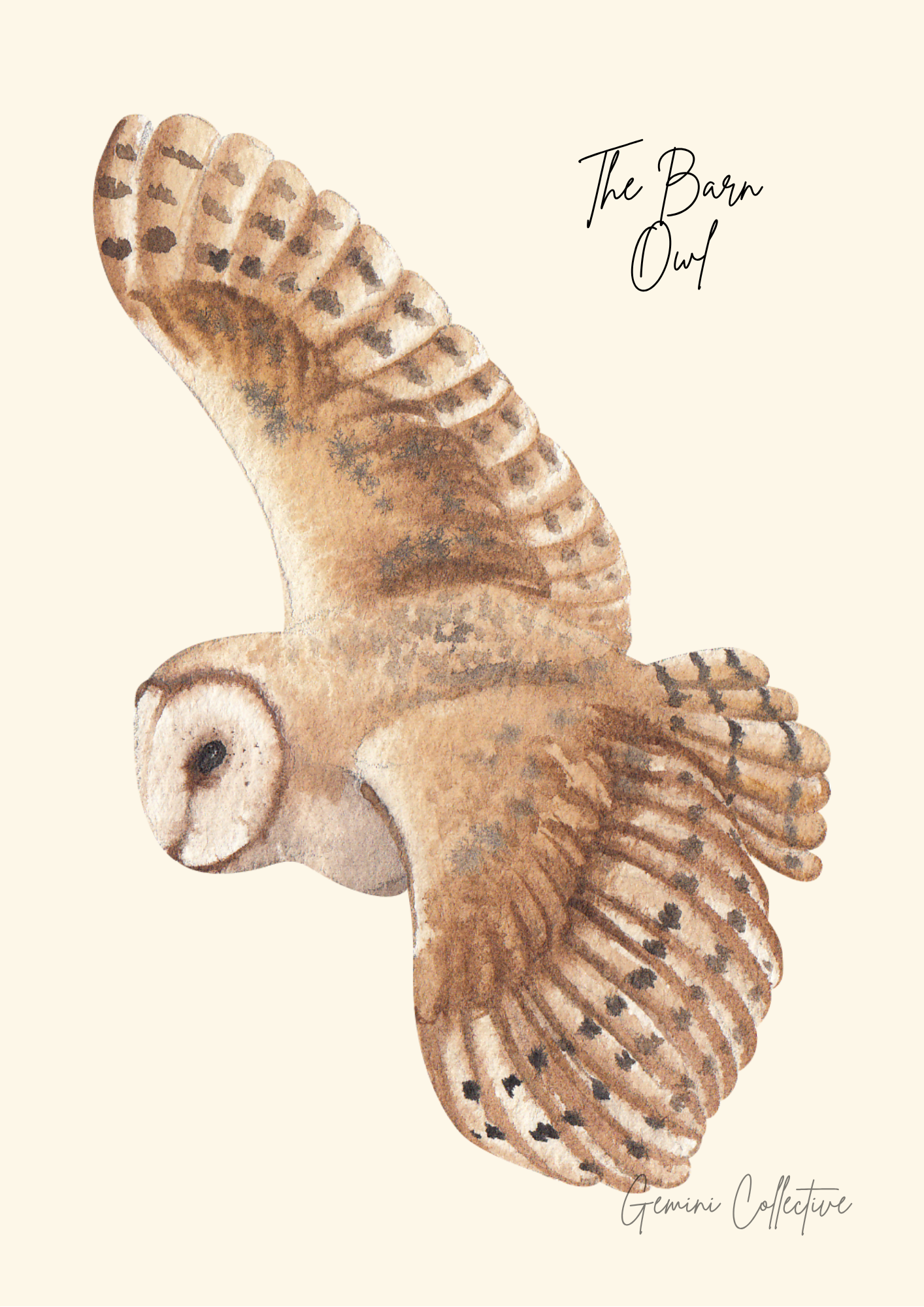 Illustration of a barn owl with open wings on a beige background, featuring the text 'The Barn Owl' and 'Gemini Collective'.