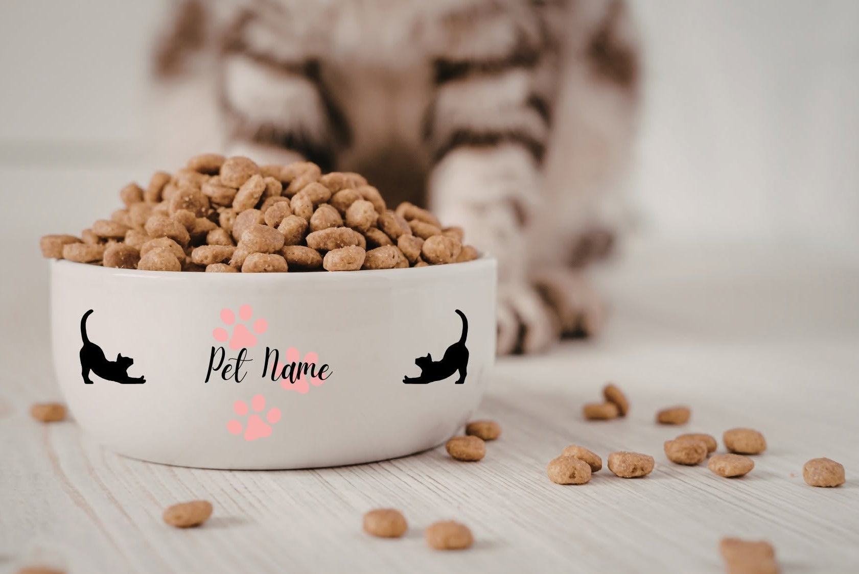 Cat food bowl, with sublimated design.