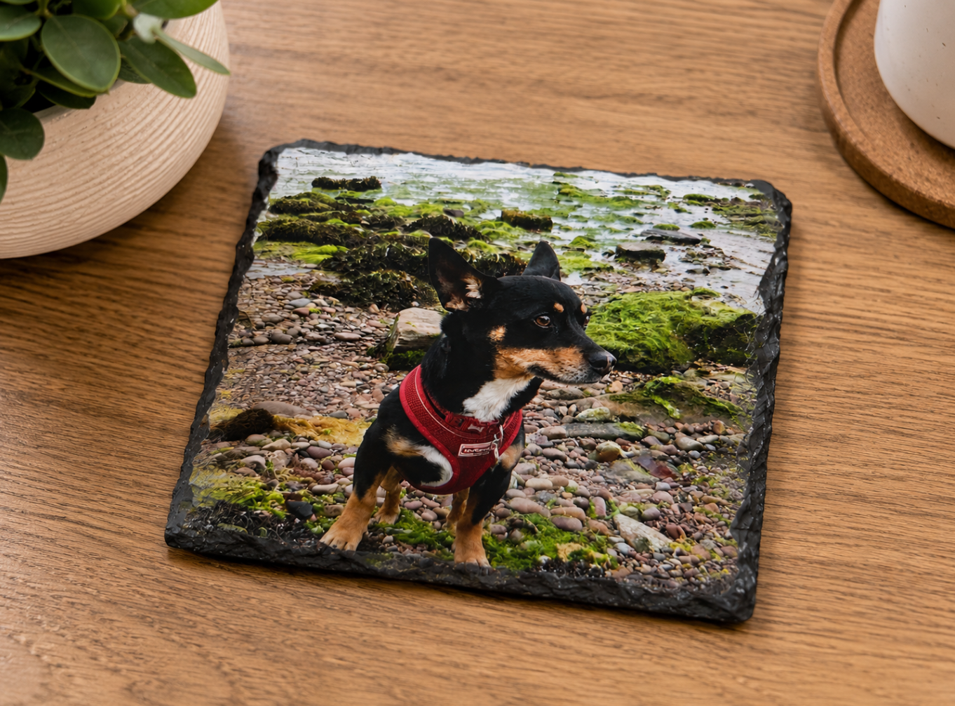 Slate coaster with a dog design on a wooden surface
