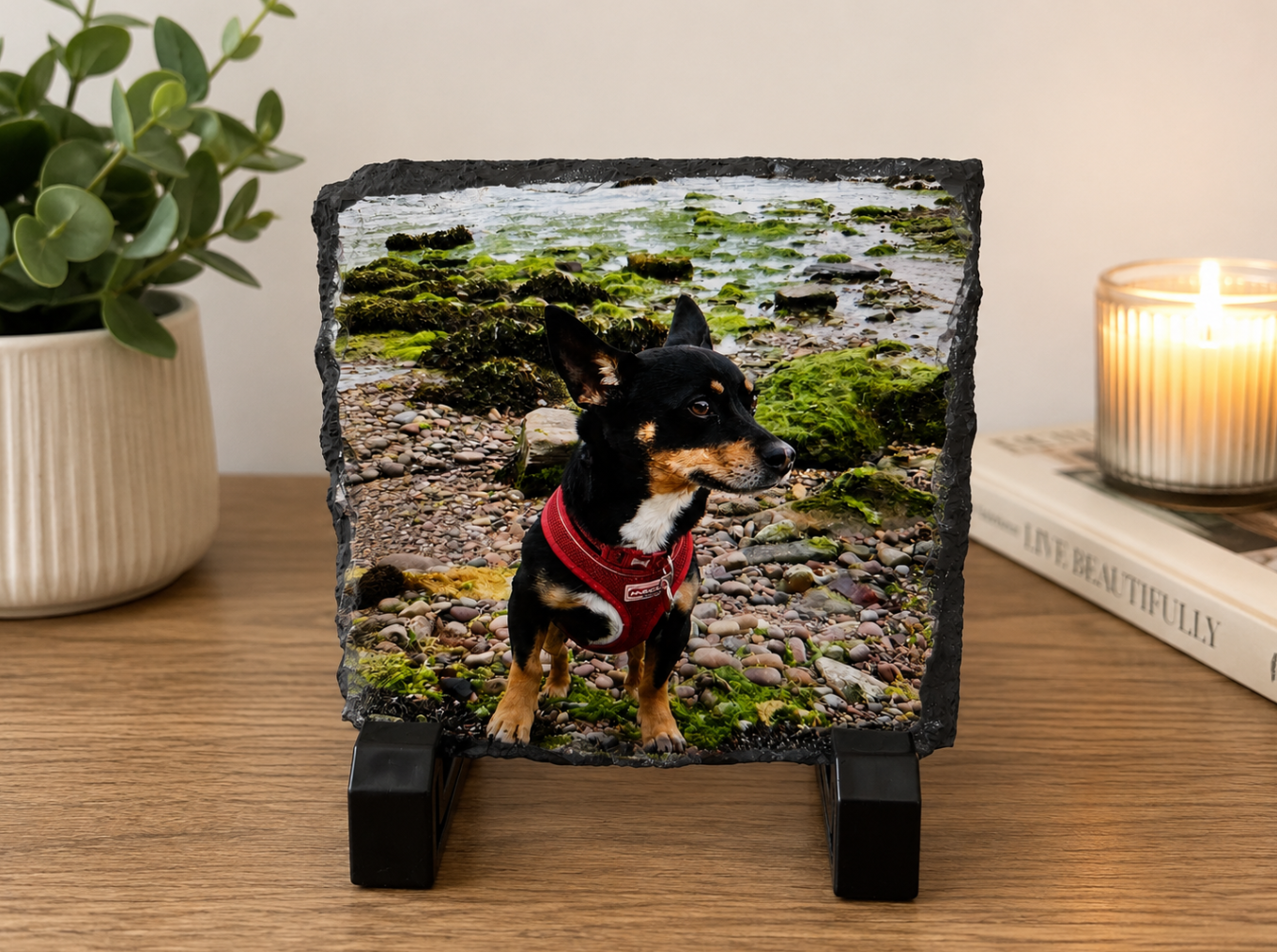 Slate with a dog photo on a stand next to a candle and plant
